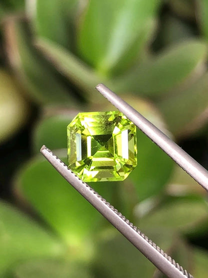 Natural Peridot 2.34 ct | Green, Pakistan
