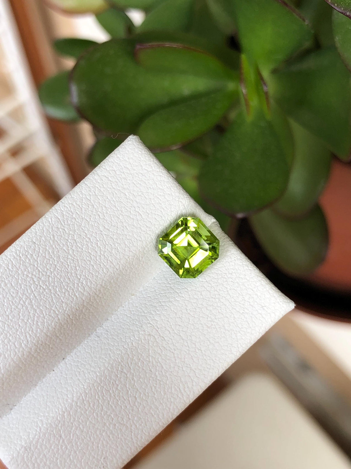 Natural Peridot 2.34 ct | Green, Pakistan