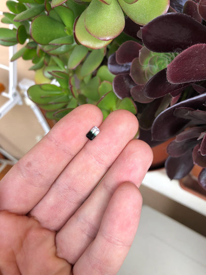 Natural Bicolor Black/White Tourmaline 0.81 ct