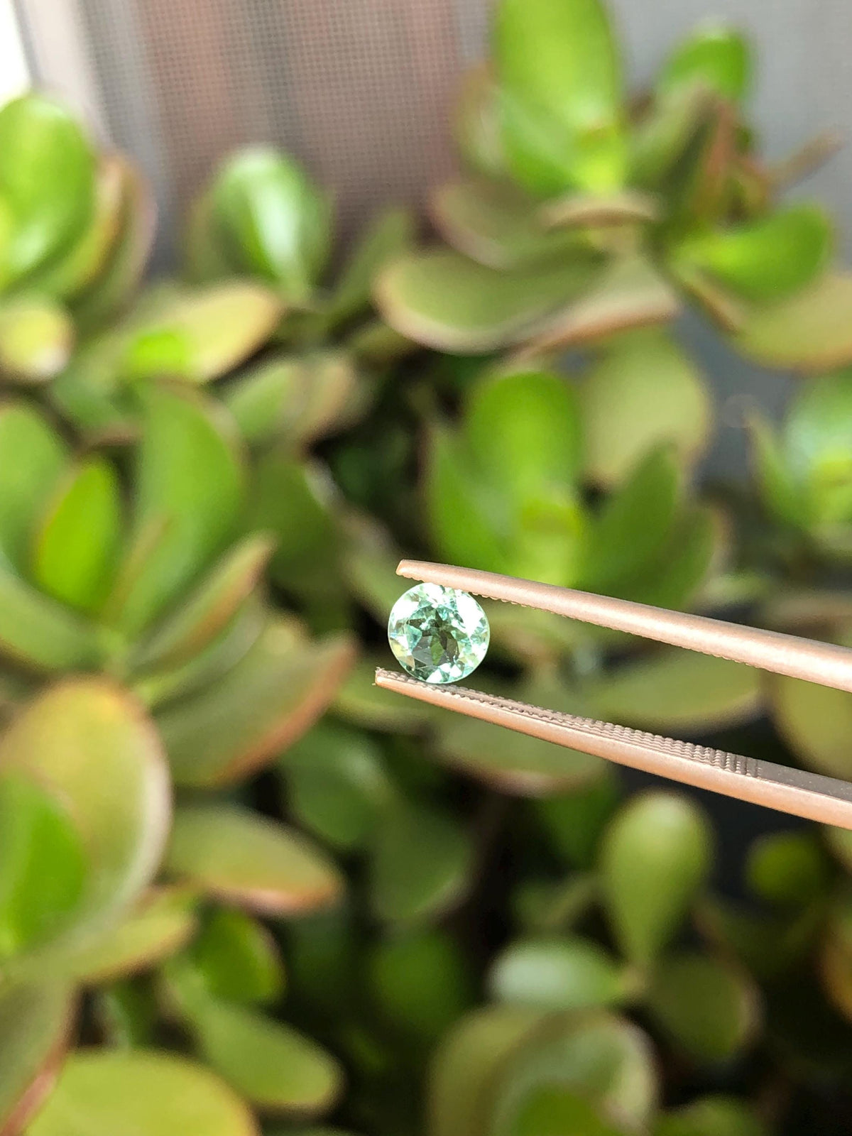 Natural Mint Green Tourmaline 0.59 ct