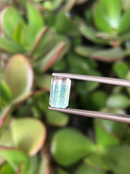 Natural Bicolor Aqua Blue Tourmaline Pair 3.57 ct