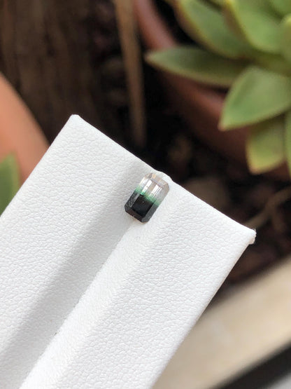 Natural Bicolor Black/White Tourmaline 0.81 ct