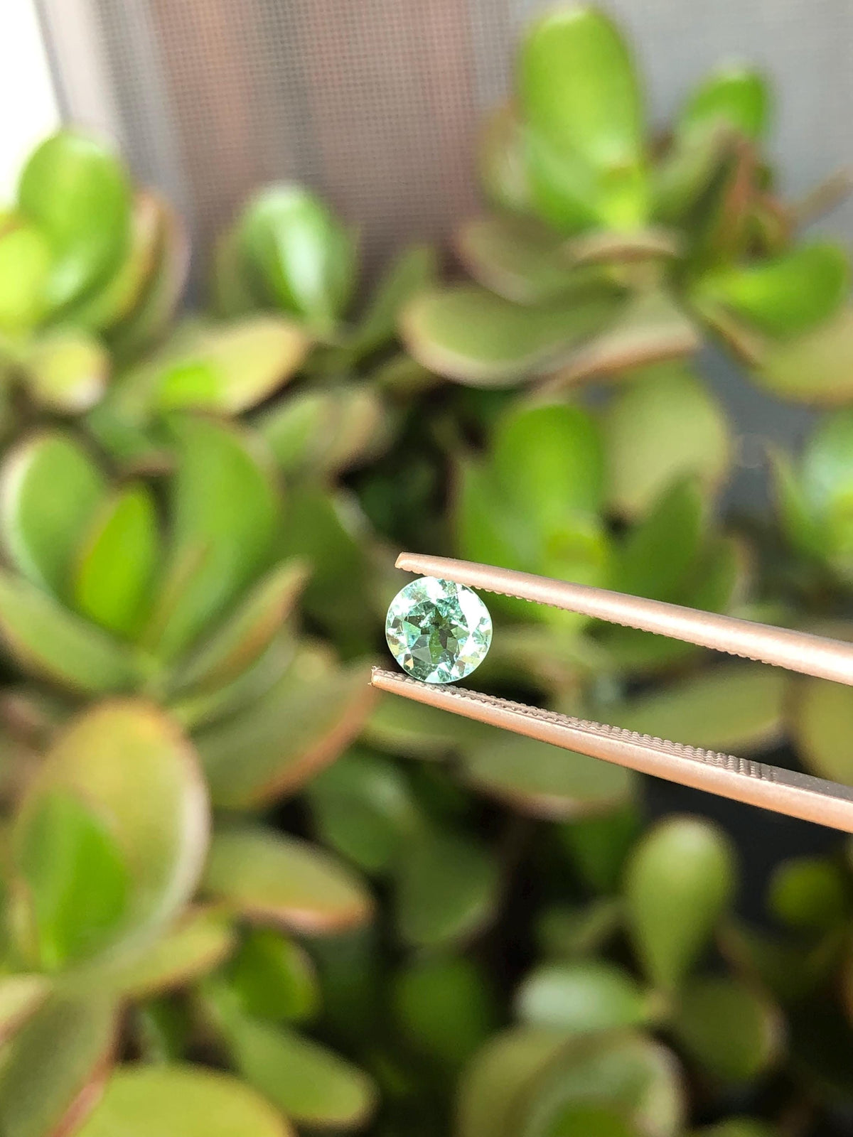 Natural Mint Green Tourmaline 0.59 ct