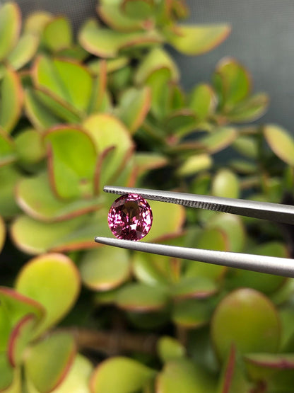 Natural Pink Malaya Garnet 2.36 ct, Tanzania