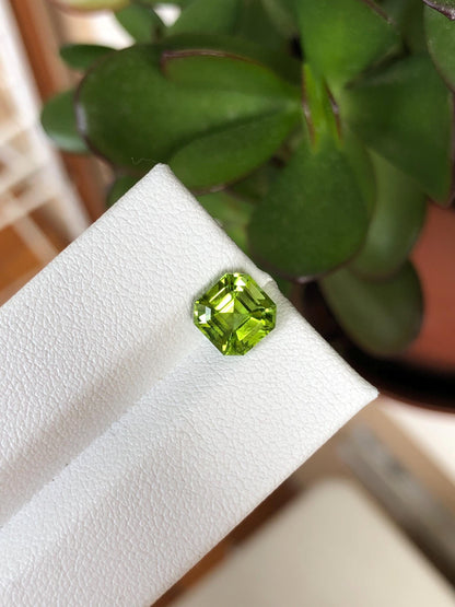 Natural Peridot 2.34 ct | Green, Pakistan