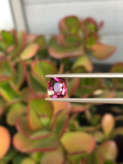 Natural Red Garnet 1.50 ct, Tanzania